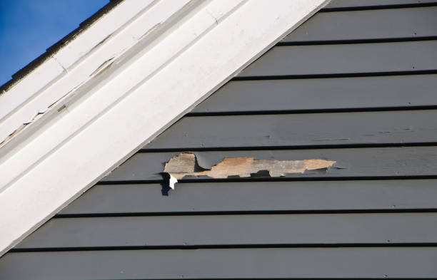 Affordable Siding Repair and Maintenance Services in Sun Valley, PA